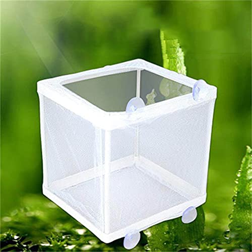 Aquarium Aquarium Guppy Inkubator Züchter Fisch Baby Gaze Mesh Trap Isolator Aquarium Aquarium Guppy Inkubator Züchter Fisch Baby Gaze Mesh Trap Isolator von WMFASBAG