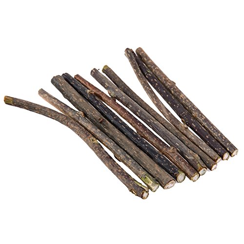 WMFASBAG 10pcs Natural Catnip Chew Sticks Zähne Molar Kauspielspielzeug Catnip Kauen Kaut Spielzeug Molar Zahnpasta Sticks for Katzenkätzchen WMFASBAG 10pcs Natural Catnip Chew Sticks Zähne Molar Kauspielspielzeug Catnip Kauen Kaut Spielzeug Molar Zahnpasta Sticks for Katzenkätzchen von WMFASBAG