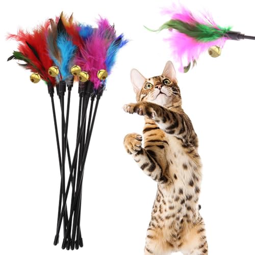 WMFASBAG 5 Teile/Satz Kurze Stange Interaktive Stick Feder Interaktive Lustige Katze Stick Glocke Exquisite Tragbare Mode Neuheit Haustier Katze Liefert WMFASBAG 5 Teile/Satz Kurze Stange Interaktive Stick Feder Interaktive Lustige Katze Stick Glocke Exquisite Tragbare Mode Neuheit Haustier Katze Liefert von WMFASBAG