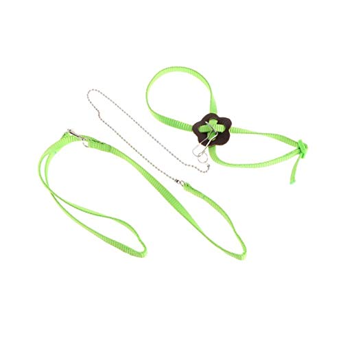 WMPRTT Pet Bird Harness Leine Outdoor Verstellbarer Trainingsseilriemen Tragbares Softband, 7 Farben (Green) von WMPRTT