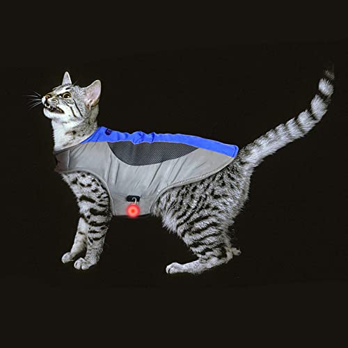 Hundemantel, warme Winterjacke, Sportkleidung, Skianzug für Hunde, geeignet für Outdoor-Sport, Weste mit LED-Licht, geeignet für kleine mittelgroße und große Hunde von WNING