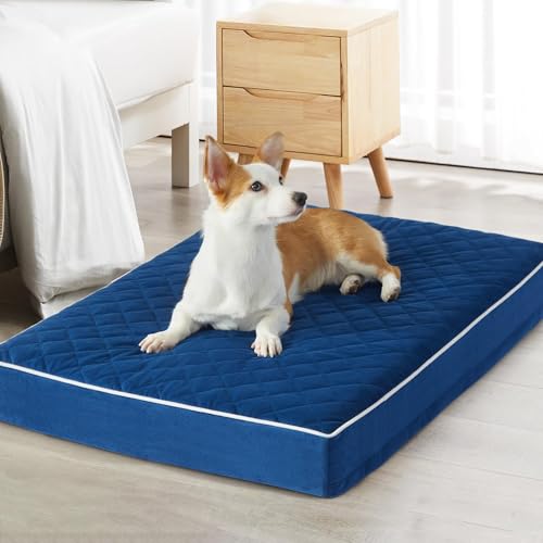 WNPETHOME Orthopädische Hundebetten für große Hunde, extra großes wasserdichtes Hundebett mit abnehmbarem, waschbarem Bezug und rutschfester Unterseite, Schaumstoff-Haustierbettmatte von WNPETHOME