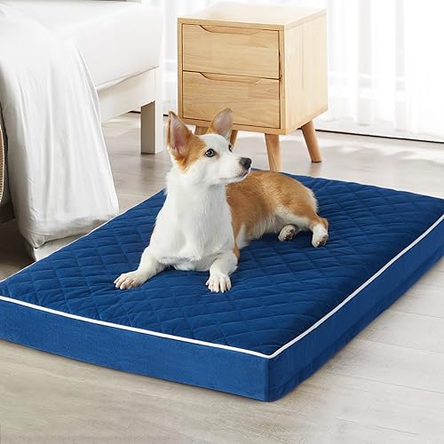 WNPETHOME Orthopädische Hundebetten für mittelgroße Hunde, großes wasserdichtes Hundebett mit abnehmbarem, waschbarem Bezug und rutschfester Unterseite, gestepptes Hundebett mit mehreren Nadeln, Blau, WNPETHOME Orthopädische Hundebetten für mittelgroße Hunde, großes wasserdichtes Hundebett mit abnehmbarem, waschbarem Bezug und rutschfester Unterseite, gestepptes Hundebett mit mehreren Nadeln, Blau, von WNPETHOME