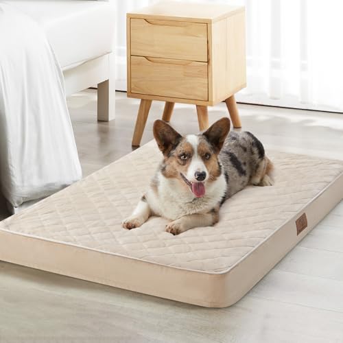 WNPETHOME Orthopädische XL-Hundebetten, groß, wasserdicht, extra groß, mit abnehmbarem, waschbarem Bezug, Multi-Nadel-Steppung, Hundekäfigbett WNPETHOME Orthopädische XL-Hundebetten, groß, wasserdicht, extra groß, mit abnehmbarem, waschbarem Bezug, Multi-Nadel-Steppung, Hundekäfigbett von WNPETHOME