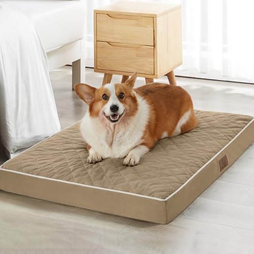 WNPETHOME Orthopädisches Hundebett, mittelgroß, wasserdicht, mittelgroß, mit abnehmbarem, waschbarem Bezug, Multi-Nadel-Quilten, Hundekäfigbett von WNPETHOME