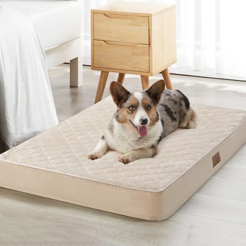 WNPETHOME Orthopädisches Hundebett für große Hunde, wasserdicht, extra groß, mit abnehmbarem, waschbarem Bezug, Steppung mit mehreren Nadeln, Hundebox von WNPETHOME