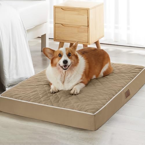 WNPETHOME Orthopädisches Hundebett für große Hunde, wasserdicht, extra groß, mit abnehmbarem, waschbarem Bezug, Steppung mit mehreren Nadeln, Hundebox von WNPETHOME