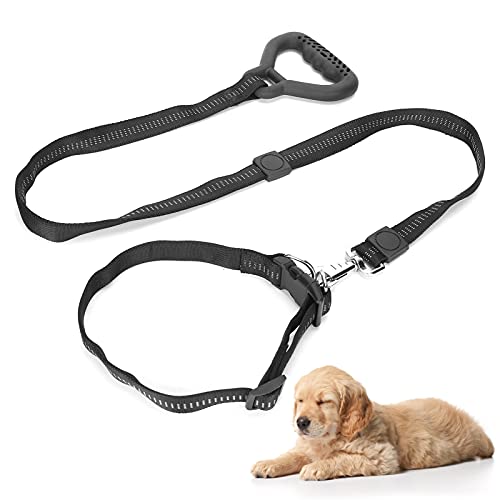 Hundehalsband und Leine, Hundeleine Halsband Set Atmungsaktiv Flexible Haustier Seilleine mit Halsband 360° Rotation Hundehalsbänder Leinen Set für Spaziergang mit dem Hund(Black) von WNSC