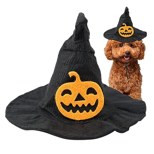 Halloween-Katze, Hexe, Größe verstellbar für Hunde | Halloween-Hut für Katzen für Fotoshootings, Kostüm, Hund, Hexe, verschleißfest, Geschenk für Wobblo von WOBBLO