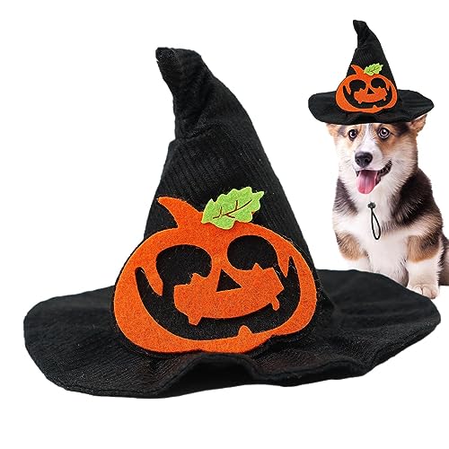 Hexe, Katze, Halloween-Hut für Katzen – Der Halloween-Hut für Hunde sorgt für eine festliche Atmosphäre, Hexenhut für Hunde, Geschenk für Weihnachten, Halloween-Party. Wobblo von WOBBLO