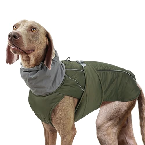 Hundemantel | Bequeme Jacke für Hunde, winddicht, für den Winter, Weste aus Segeltuch mit Rollkragen, Schneejacke für kleine, mittlere und große Hunde Wobblo von WOBBLO