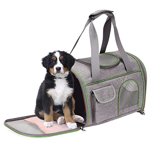 Katze | Transporttasche für Hunde, Transporttasche für Haustiere, von der Fluggesellschaft zugelassen für kleine Hunde, Welpen, mittelgroße Katzen, Wobblo von WOBBLO