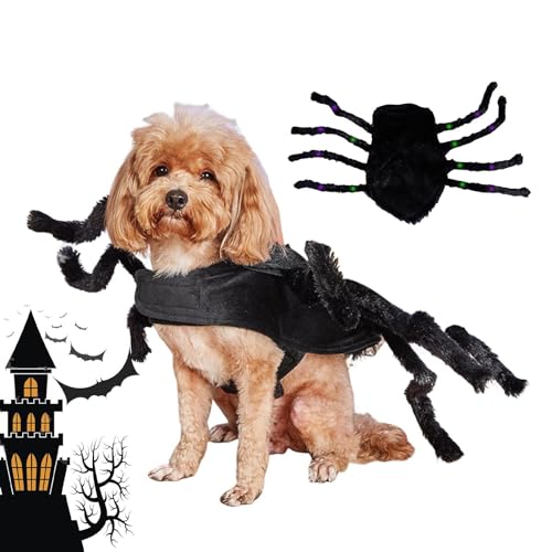 Spinnen-Kostüme für Hunde – realistisches gruseliges Hundekostüm mit Lichtern | Halloween-Kostüme für Haustiere für Halloween-Mottoparty, Festivalparade, Wobblo von WOBBLO