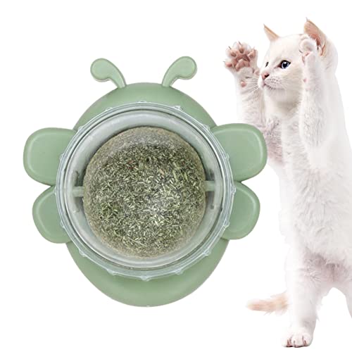 WOBBLO Katzenbälle für Katzen – Wandspielzeug in Form einer Biene zu Katze zum Lecken von Katzen, gesunde Bio-Katzen, drehbare Wandhalterung, essbares Kauspielzeug für Kätzchen von WOBBLO