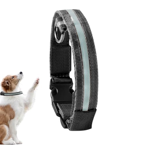 WOBBLO LED-Halsband | Leuchtende Hundehalsbänder, tragbar, leuchtet im Dunkeln, für mittelgroße Welpen, Haustiere von WOBBLO