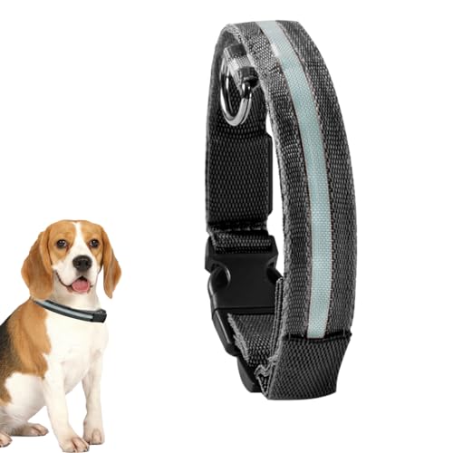 WOBBLO LED-Halsband – Leuchthalsband für Hunde – verstellbare Halsbänder, die im Dunkeln leuchten, für Welpen, mittelgroße und kleine Hunde. von WOBBLO