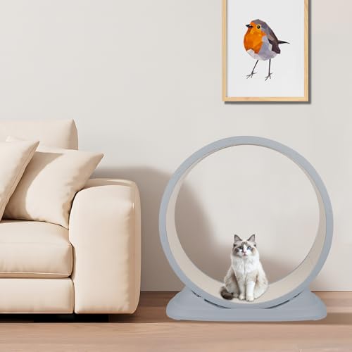 Laufband für Katzen, Trainingsspielzeug, ultra-leise und sicher, abnehmbare Matte aus Teppich zum Laufen und Kratzen (grau) von WODFARR