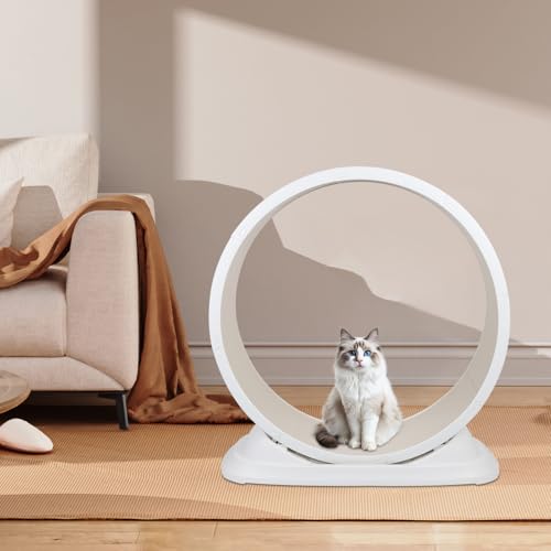 Laufband für Katzen, Trainingsspielzeug, ultra-leise und sicher, abnehmbare Matte aus Teppich zum Laufen und Kratzen (weiß) von WODFARR