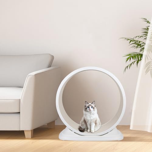 Laufrad für Katzen, für den Innenbereich, 80 cm, mit Teppich, Laufband, Fitnessgerät zum Abnehmen (weiß) von WODFARR