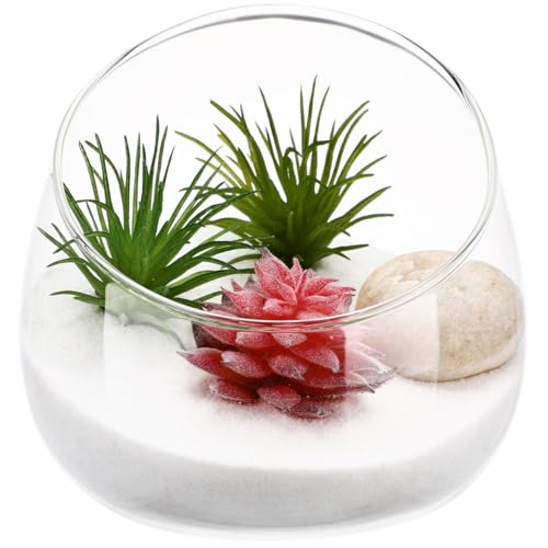 1 x klare, schräg geschnittene Glasvase, schräge Kugelschale, Terrarium, Glas, Pflanzenterrarium, Blasenschale, Vase, Glas, Süßigkeitengläser, Wandhalterung, Aquarium, ökologische Flasche, Dekoration, von WOFASHPURET