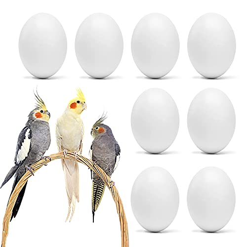 WOLEDOE 8 künstliche Vogeleier, Stopp-Eier, für Nymphensittiche, grüne Wangen, Lovebird, Ringhals-Taube, Lorikeet, Bourke-Sittiche, Quakpapageien WOLEDOE 8 künstliche Vogeleier, Stopp-Eier, für Nymphensittiche, grüne Wangen, Lovebird, Ringhals-Taube, Lorikeet, Bourke-Sittiche, Quakpapageien von WOLEDOE
