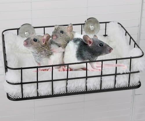 WOLEDOE Rattenkäfig-Plattform, Chinchilla-Spielzeug und Metallkäfig-Zubehör, Ledge Rampe für Frettchen, Meerschweinchen, Zuckergleiter – Schwarz WOLEDOE Rattenkäfig-Plattform, Chinchilla-Spielzeug und Metallkäfig-Zubehör, Ledge Rampe für Frettchen, Meerschweinchen, Zuckergleiter – Schwarz von WOLEDOE