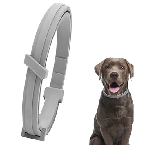 Hundehalsband, Halsbänder für Hunde, um Infektionen zu verhindern, 72 cm sicheres wasserdichtes verstellbares Halsband Hund, geeignet für Hunde 8 Monate Schutz Hundehalsband, Halsbänder für Hunde, um Infektionen zu verhindern, 72 cm sicheres wasserdichtes verstellbares Halsband Hund, geeignet für Hunde 8 Monate Schutz von WOLMIK