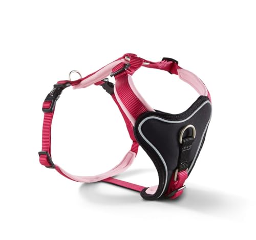 Geschirr Professional Comfort Gr.-1 Geschirr Professional Comfort Gr.-1 von Wolters Cat & Dog