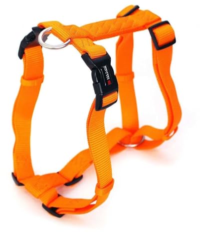 Geschirr Professional Gr.XL von Wolters Cat & Dog