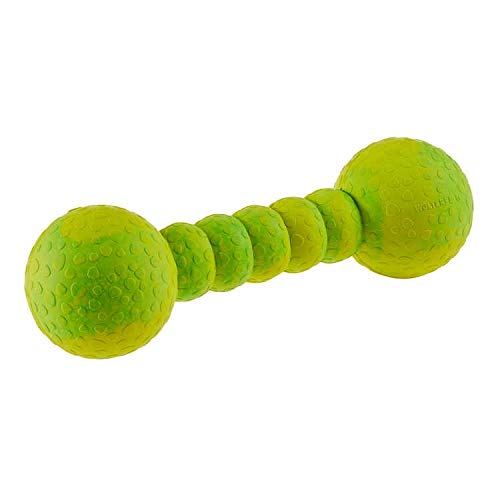 Wolters Cat & Dog Aqua-Fun Gym, Mint, 23 cm, für Erwachsene Hunde, Wasserfest, Gummimaterial, Übung, Hundespielzeug Wolters Cat & Dog Aqua-Fun Gym, Mint, 23 cm, für Erwachsene Hunde, Wasserfest, Gummimaterial, Übung, Hundespielzeug von Wolters Cat & Dog