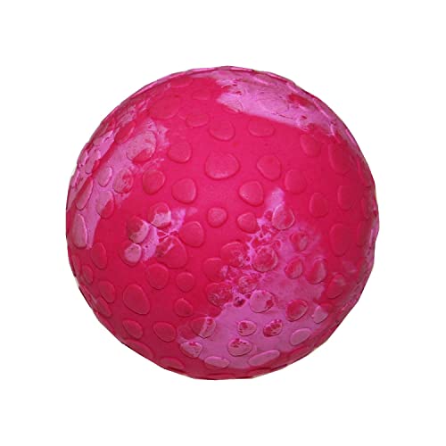 WOLTERS Aqua-Fun Wasserball versch. Größen und Farben, Farbe:Himbeer, Größe:5 cm von Wolters Cats & Dogs