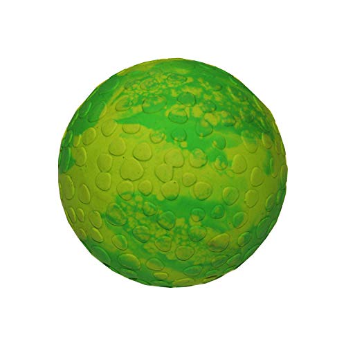 WOLTERS Aqua-Fun Wasserball versch. Größen und Farben, Farbe:Mint, Größe:5 cm von Wolters Cat & Dog
