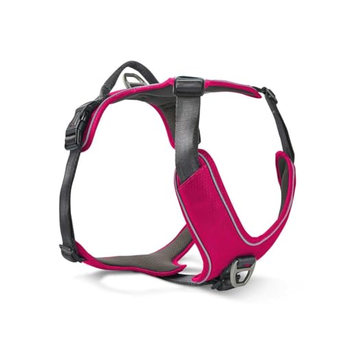 WOLTERS Geschirr Active Pro Comfort, Größe:45-52.5 cm, Farbe:Magenta/anthrazit WOLTERS Geschirr Active Pro Comfort, Größe:45-52.5 cm, Farbe:Magenta/anthrazit von WOLTERS