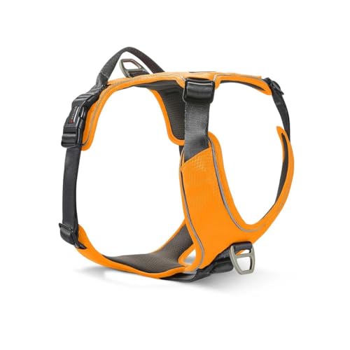 WOLTERS Geschirr Active Pro Comfort, Größe:50-57.5 cm, Farbe:orange/anthrazit WOLTERS Geschirr Active Pro Comfort, Größe:50-57.5 cm, Farbe:orange/anthrazit von WOLTERS