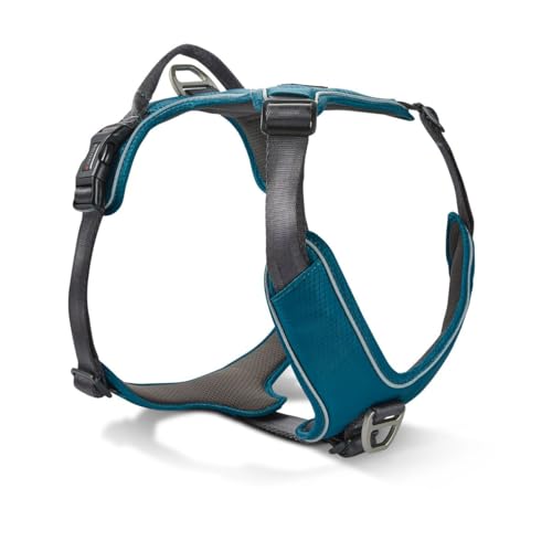 Wolters Geschirr Active Pro Comfort, Größe:45-52.5 cm, Farbe:Petrol/anthrazit Wolters Geschirr Active Pro Comfort, Größe:45-52.5 cm, Farbe:Petrol/anthrazit von WOLTERS