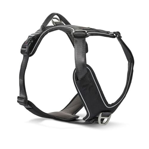 Wolters Geschirr Active Pro Comfort, Größe:45-52.5 cm, Farbe:schwarz/anthrazit Wolters Geschirr Active Pro Comfort, Größe:45-52.5 cm, Farbe:schwarz/anthrazit von WOLTERS