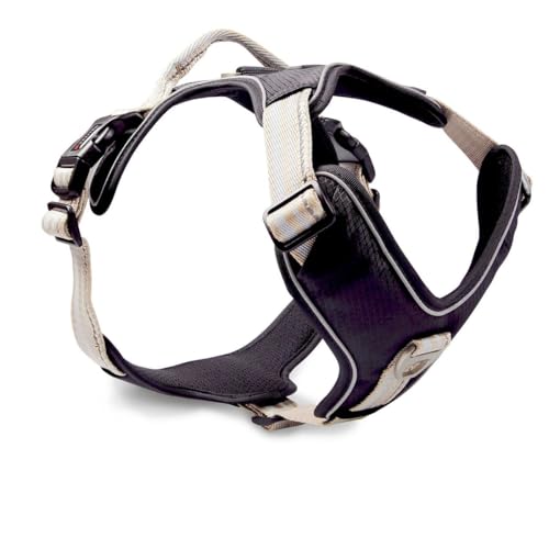 Wolters Geschirr Active Pro, Größe:40-47.5 cm, Farbe:Champagner/schwarz Wolters Geschirr Active Pro, Größe:40-47.5 cm, Farbe:Champagner/schwarz von WOLTERS