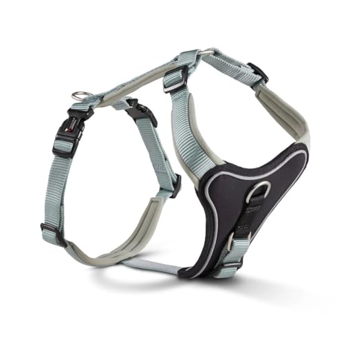 Wolters Geschirr Professional Comfort, Größe:70-85 cm, Farbe:Salbei grün Wolters Geschirr Professional Comfort, Größe:70-85 cm, Farbe:Salbei grün von WOLTERS