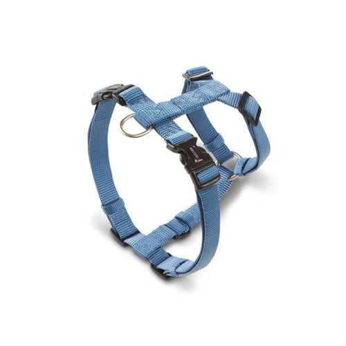 Wolters Geschirr Professional für Mops & Co., Größe:L 50-80 cm x 20 mm, Farbe:Riverside Blue Wolters Geschirr Professional für Mops & Co., Größe:L 50-80 cm x 20 mm, Farbe:Riverside Blue von WOLTERS