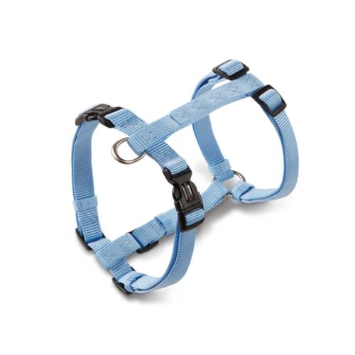 Wolters Geschirr Professional für Mops & Co., Größe:L 50-80 cm x 20 mm, Farbe:Sky Blue Wolters Geschirr Professional für Mops & Co., Größe:L 50-80 cm x 20 mm, Farbe:Sky Blue von WOLTERS