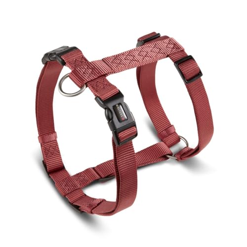 Wolters Geschirr Professional für Mops & Co., Größe:M 40-55 cm x 15 mm, Farbe:rost rot Wolters Geschirr Professional für Mops & Co., Größe:M 40-55 cm x 15 mm, Farbe:rost rot von WOLTERS