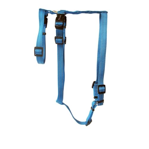 Wolters Geschirr Soft & Safe No Escape, Größe:L 50-70 cm, Farbe:Aqua Wolters Geschirr Soft & Safe No Escape, Größe:L 50-70 cm, Farbe:Aqua von Wolters Cat & Dog