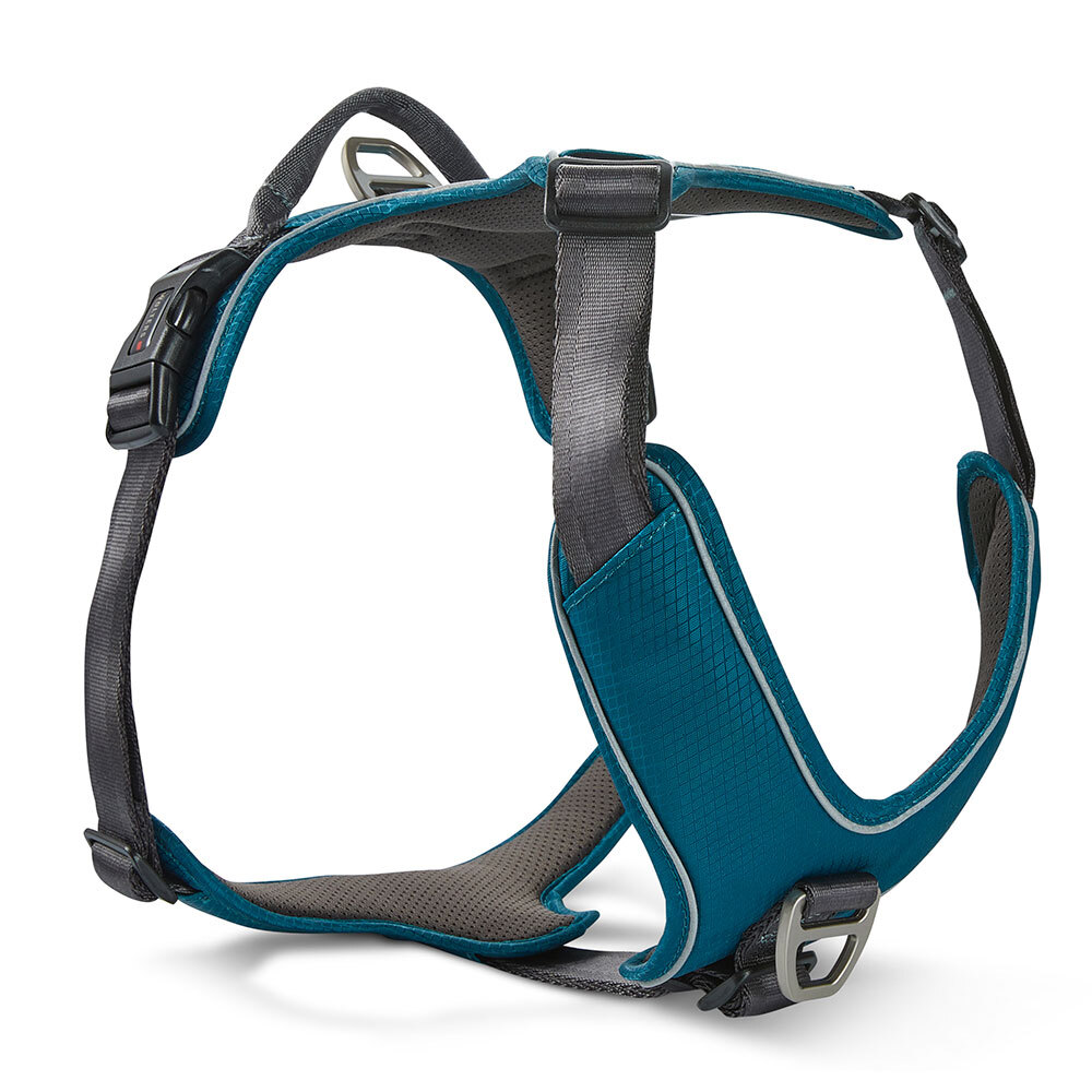 WOLTERS Hundegeschirr Active Pro Comfort petrol/anthrazit, Breite: ca. 1,5 cm, Brustumfang: ca. 45 - 52 cm WOLTERS Hundegeschirr Active Pro Comfort petrol/anthrazit, Breite: ca. 1,5 cm, Brustumfang: ca. 45 - 52 cm von WOLTERS