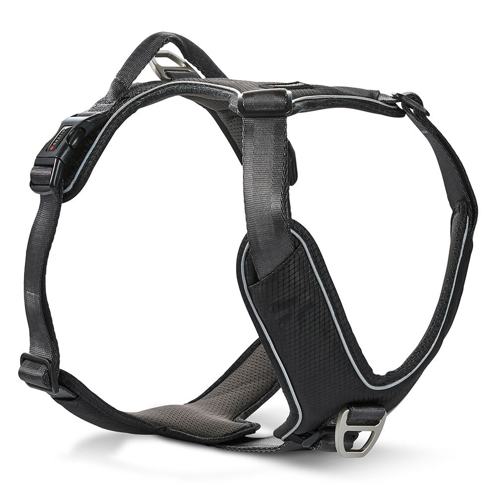 WOLTERS Hundegeschirr Active Pro Comfort schwarz/anthrazit, Breite: ca. 2,5 cm, Brustumfang: ca. 70 - 85 cm von WOLTERS