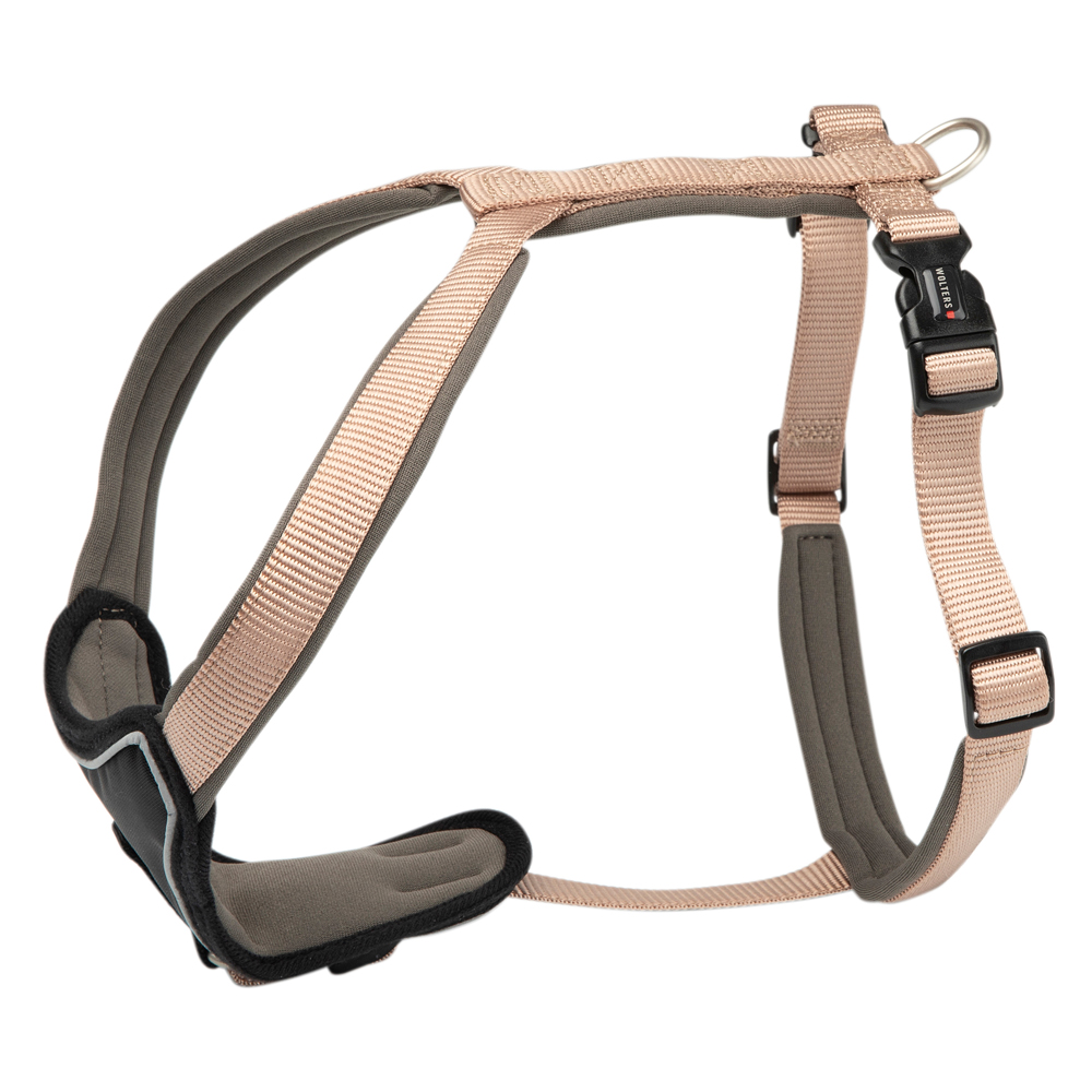 WOLTERS Hundegeschirr Professional Comfort champagner/trüffel, Breite: ca. 25 mm, Bauchumfang: ca. 35 - 40 cm WOLTERS Hundegeschirr Professional Comfort champagner/trüffel, Breite: ca. 25 mm, Bauchumfang: ca. 35 - 40 cm von WOLTERS