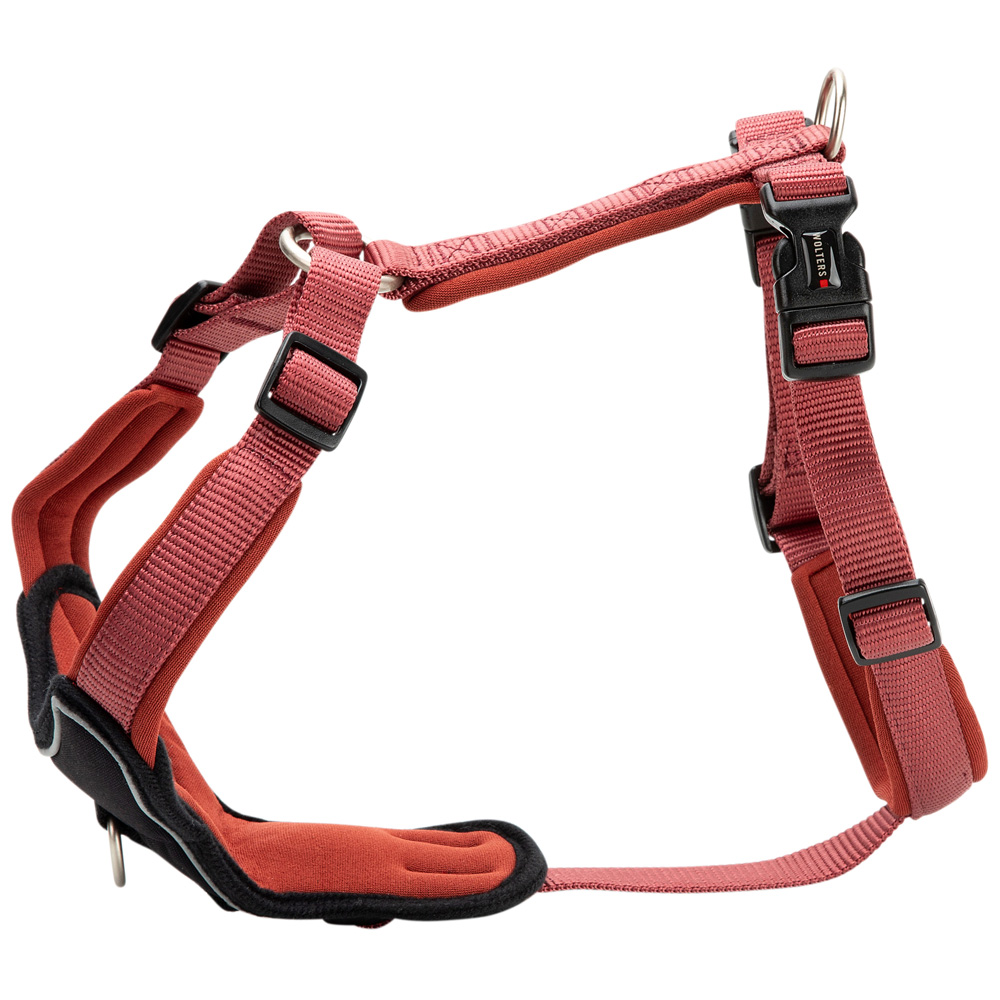 WOLTERS Hundegeschirr Professional Comfort rostrot, Breite: ca. 25 mm, Bauchumfang: ca. 40 - 45 cm WOLTERS Hundegeschirr Professional Comfort rostrot, Breite: ca. 25 mm, Bauchumfang: ca. 40 - 45 cm von WOLTERS