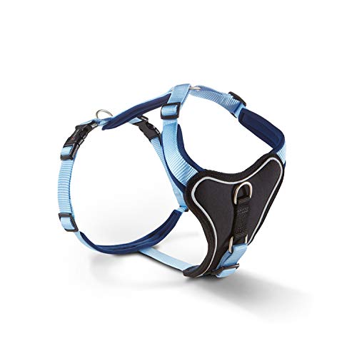Wolters Geschirr Professional Comfort versch. Größen und Farben, Größe:35 - 40 cm, Farbe:Sky Blue/Marine Wolters Geschirr Professional Comfort versch. Größen und Farben, Größe:35 - 40 cm, Farbe:Sky Blue/Marine von Wolters Cat & Dog