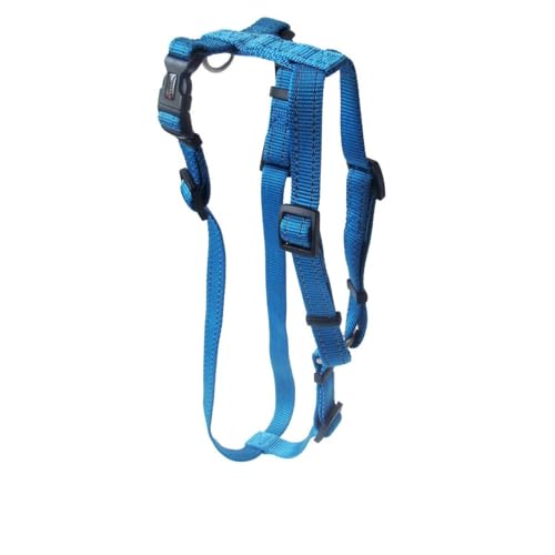 Wolters | Soft & Safe für Mops & Co. aqua | 50-80 cm von WOLTERS