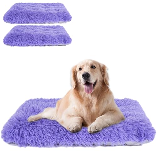 Maschinenwaschbares Hundebett, Deluxe-Plüsch-Hundebox-Unterlage und Katzenbett, rutschfeste Unterseite, flauschige Haustierbetten für große, mittelgroße und kleine Hunderassen, Violett, 61 x 45,7 x Maschinenwaschbares Hundebett, Deluxe-Plüsch-Hundebox-Unterlage und Katzenbett, rutschfeste Unterseite, flauschige Haustierbetten für große, mittelgroße und kleine Hunderassen, Violett, 61 x 45,7 x von WONDER MIRACLE