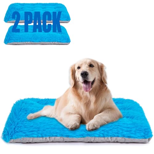 Maschinenwaschbares Hundebett, Deluxe-Plüsch-Hundebox-Unterlage und Katzenbett, rutschfeste Unterseite, flauschige Haustierbetten für große, mittelgroße und kleine Hunderassen (Azurblau, 61 cm L x Maschinenwaschbares Hundebett, Deluxe-Plüsch-Hundebox-Unterlage und Katzenbett, rutschfeste Unterseite, flauschige Haustierbetten für große, mittelgroße und kleine Hunderassen (Azurblau, 61 cm L x von WONDER MIRACLE